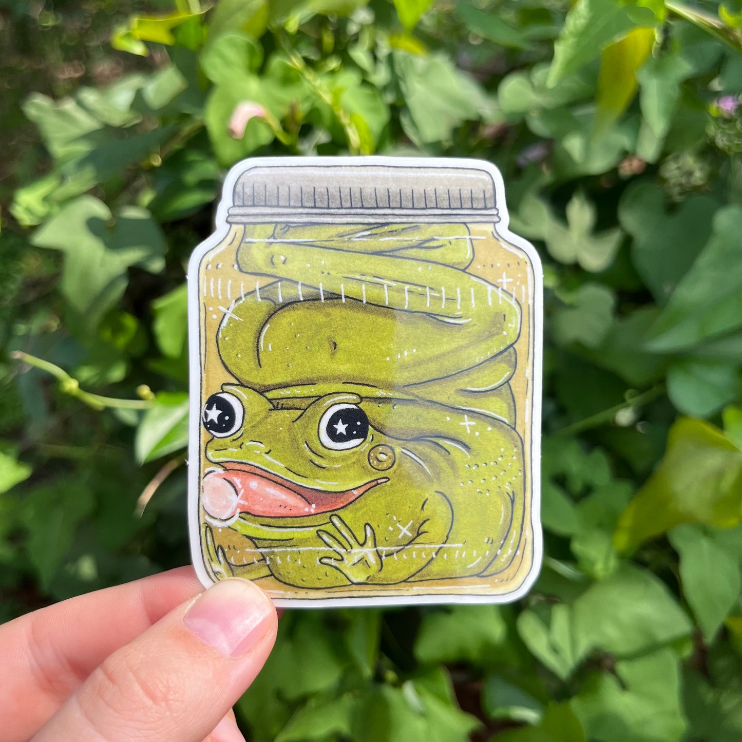 Tree Frog Sticker