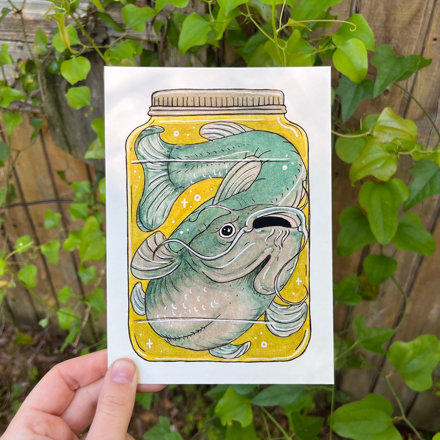 Catfish Art Print