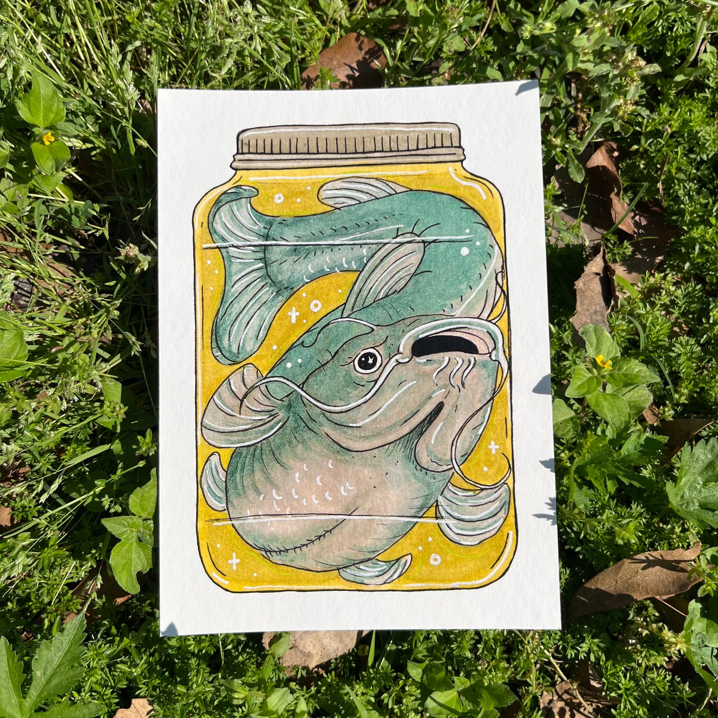 Catfish Art Print