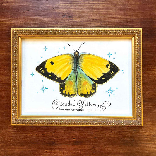 Clouded Yellow Butterfly - Original Painting